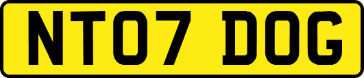 NT07DOG