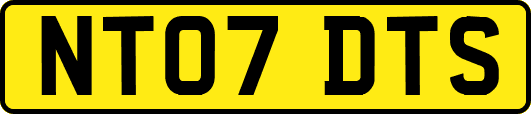 NT07DTS