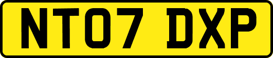 NT07DXP