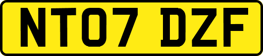NT07DZF