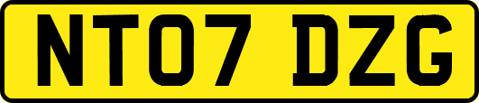 NT07DZG