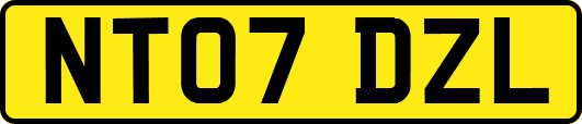 NT07DZL