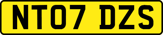NT07DZS