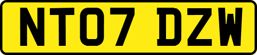 NT07DZW