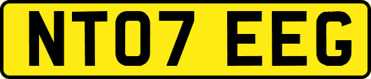 NT07EEG