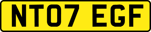 NT07EGF