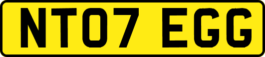 NT07EGG