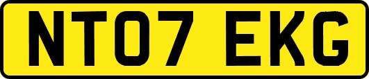 NT07EKG