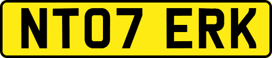 NT07ERK
