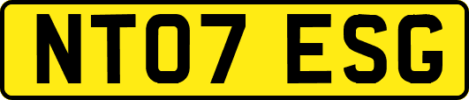 NT07ESG