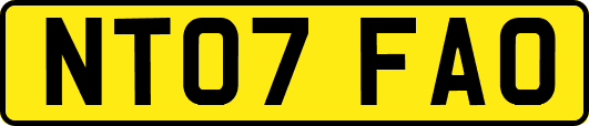 NT07FAO