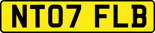 NT07FLB