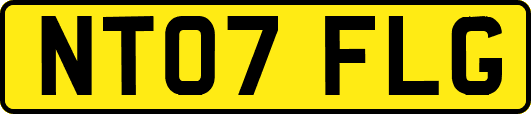 NT07FLG