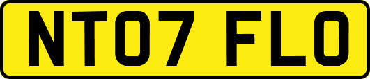 NT07FLO