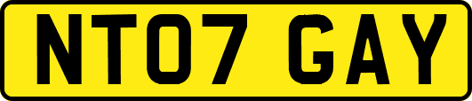 NT07GAY