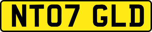 NT07GLD