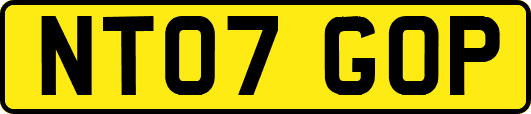 NT07GOP