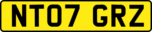 NT07GRZ