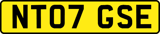 NT07GSE