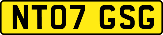NT07GSG