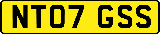 NT07GSS