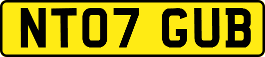 NT07GUB