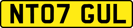 NT07GUL