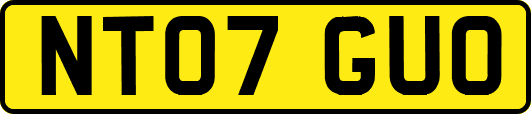 NT07GUO