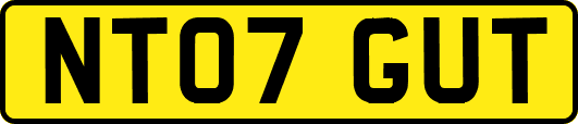 NT07GUT