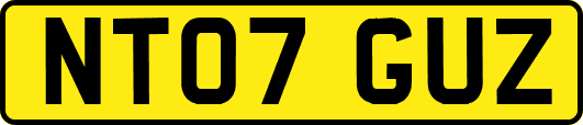 NT07GUZ