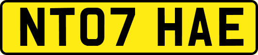 NT07HAE