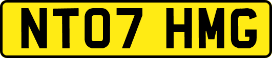 NT07HMG