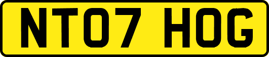 NT07HOG