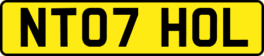 NT07HOL