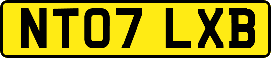 NT07LXB