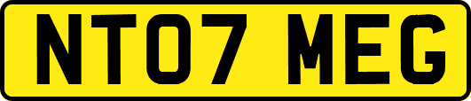 NT07MEG