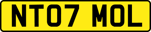 NT07MOL
