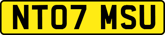 NT07MSU