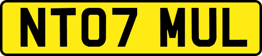 NT07MUL
