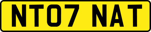 NT07NAT