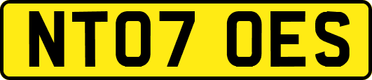 NT07OES