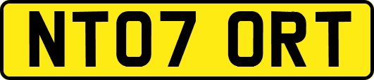 NT07ORT