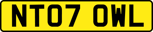 NT07OWL