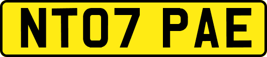 NT07PAE