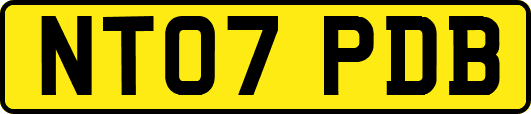 NT07PDB