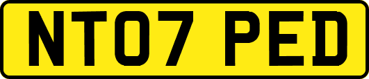 NT07PED
