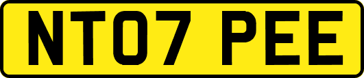 NT07PEE