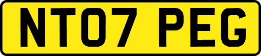 NT07PEG