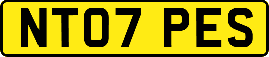 NT07PES