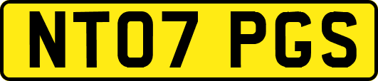 NT07PGS
